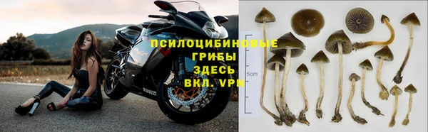 альфа пвп Коряжма