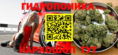 прущие крисы Жуковский