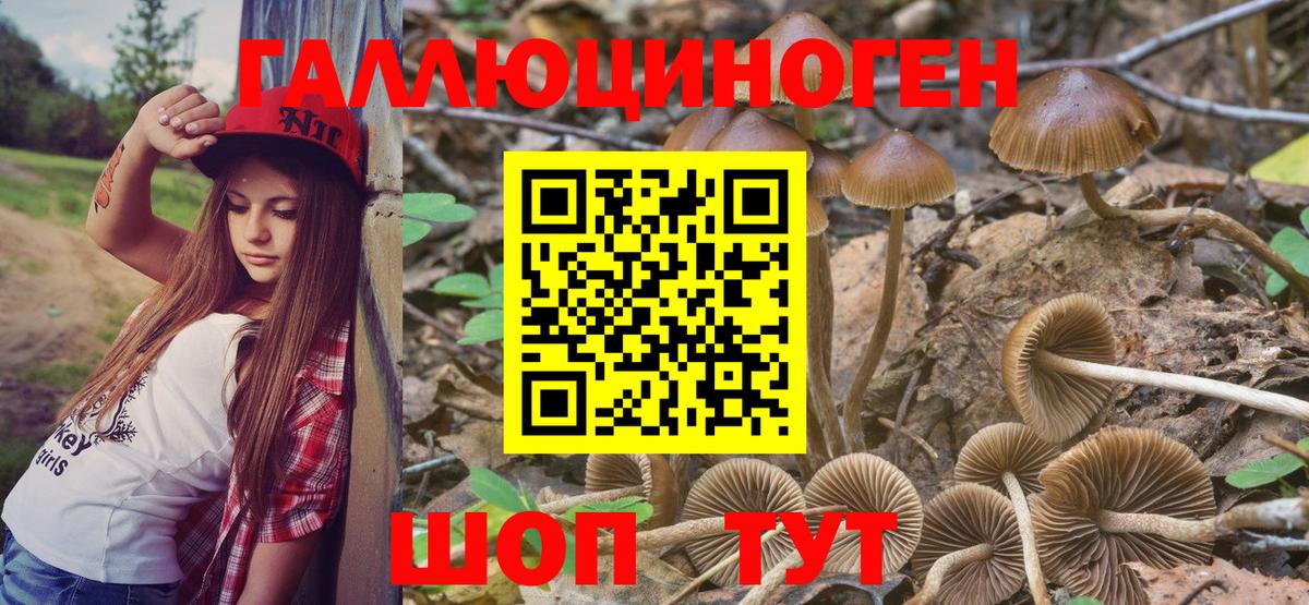 Галлюциногенные грибы Magic Shrooms Первоуральск